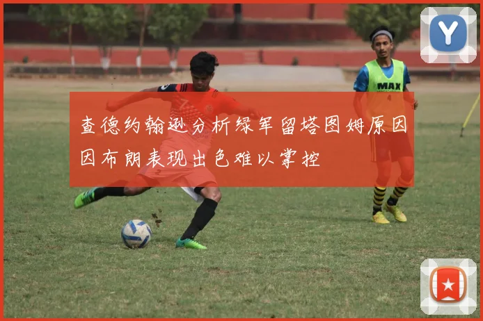 查德约翰逊分析绿军留塔图姆原因因布朗表现出色难以掌控