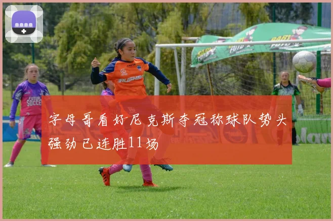 字母哥看好尼克斯夺冠称球队势头强劲已连胜11场